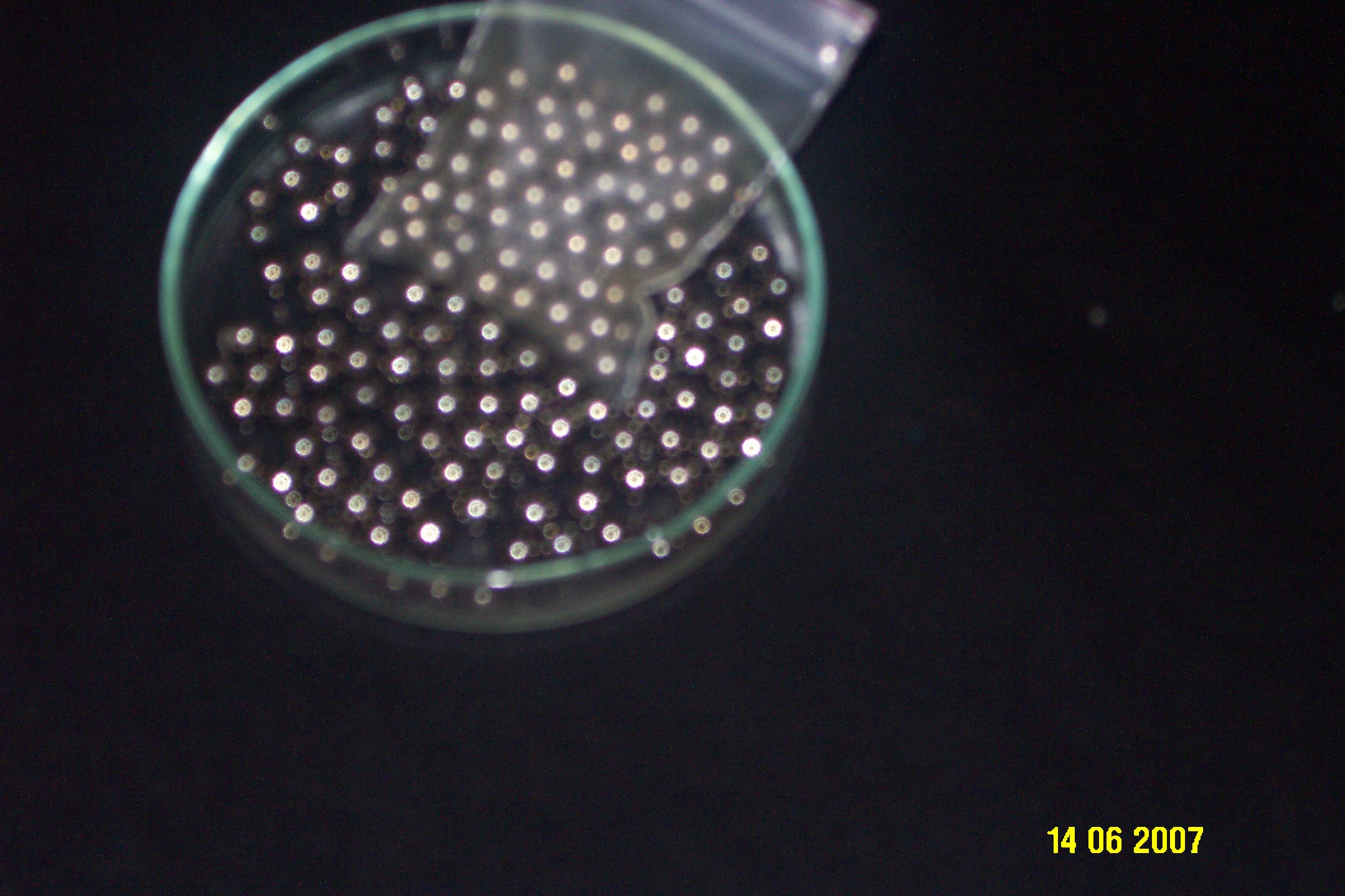 Click on image to maximize